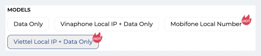 The four models on the MicroEsim page for Vietnam: Data Only, Vinaphone Local IP, Mobifone Local Number and Viettel Local IP