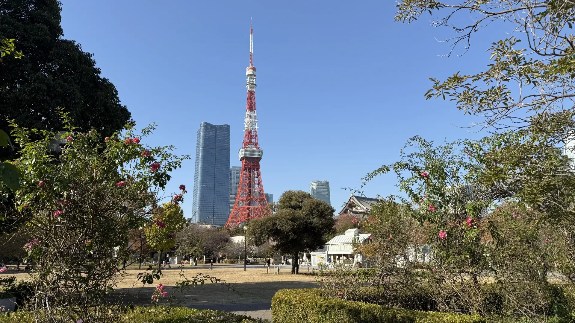 A sunlit view of Tokyo Tower from Shiba Park, where I tested download speeds and network routing for 15 different eSIM providers